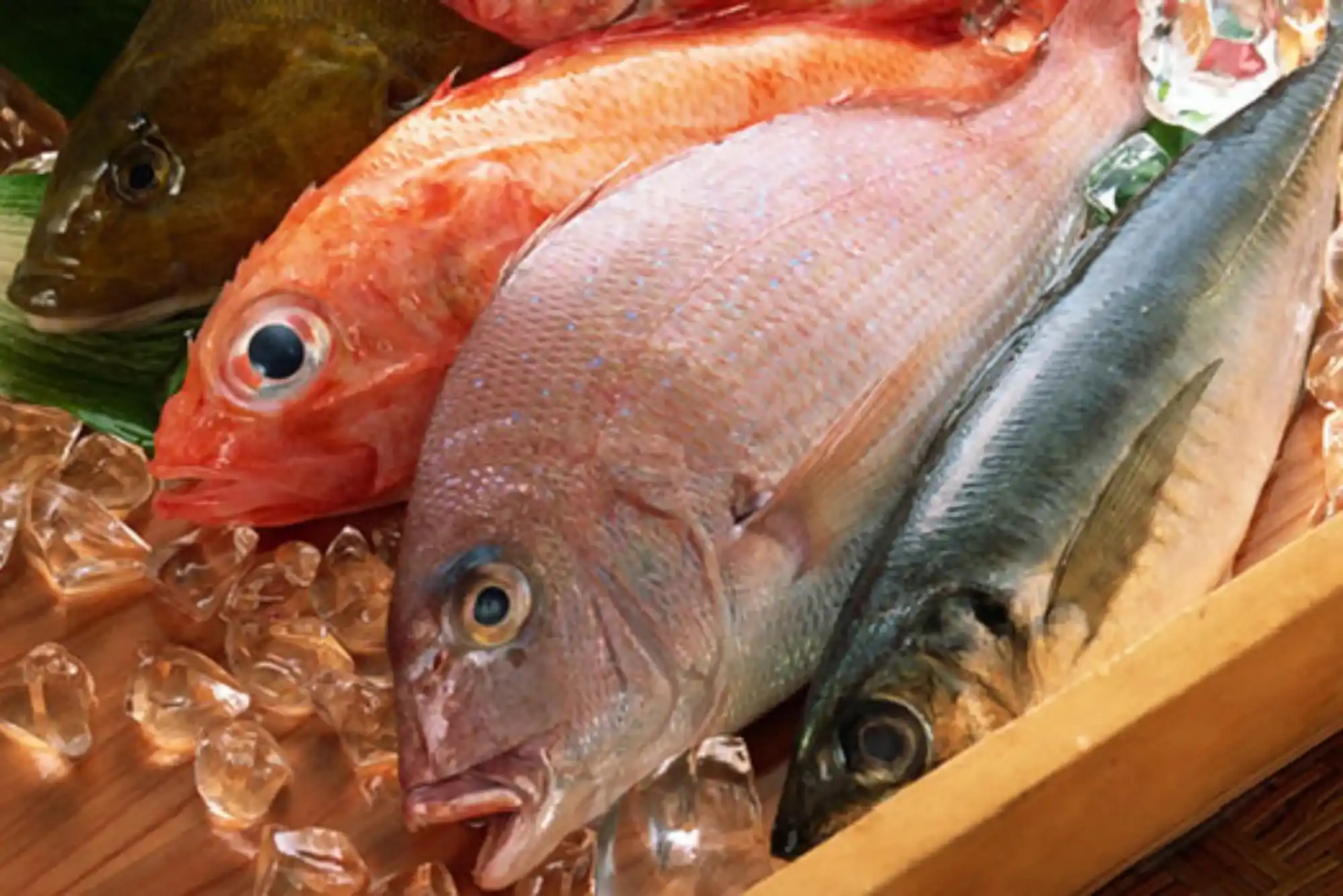 Game Changing Exports From United Fish Dubai | Seafood Leader