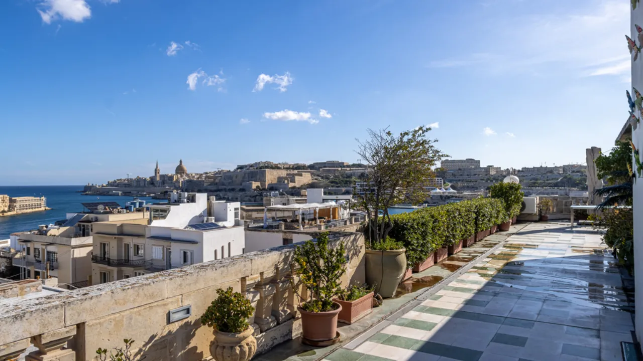 How to Buy Plexes for Sale in Malta